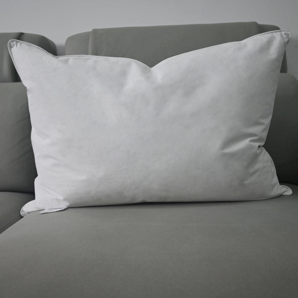 Oreiller en plume, 50 × 91 cm, fermeté souple, housse en 100 % coton
