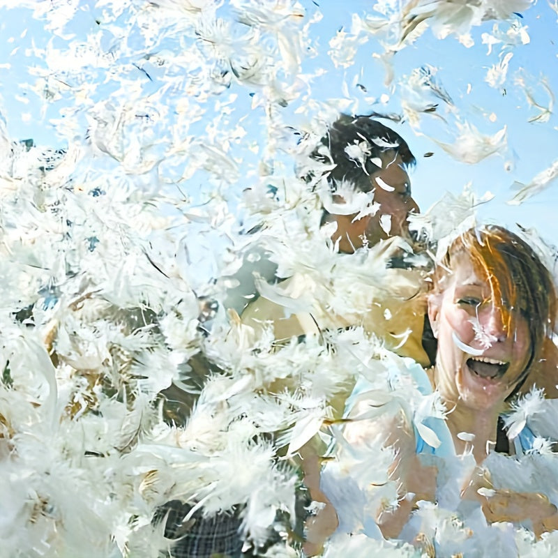 Oreiller en plume, 48 × 74 cm, présentation du produit Image